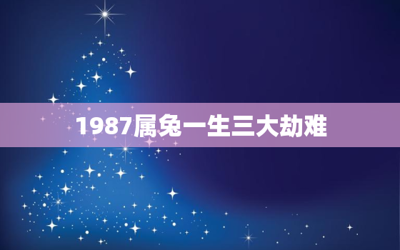 1987属兔一生三大劫难，2022年属兔下半年要出大事