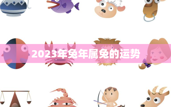 2023年兔年属兔的运势，2023年属兔命运