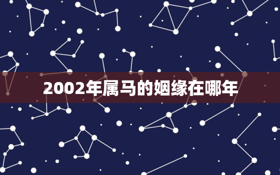 2002年属马的姻缘在哪年，2002年属马的是什么命