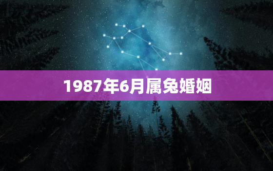 1987年6月属兔婚姻，1987年6月的兔子命运如何