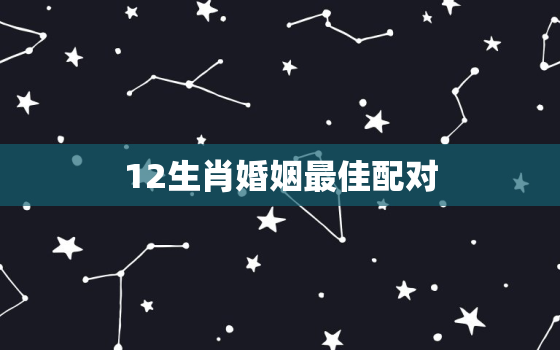 12生肖婚姻最佳配对，12生肖婚姻最佳配对猪