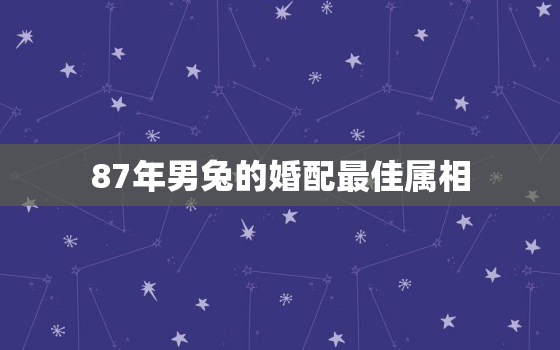 87年男兔的婚配最佳属相，87年属兔男婚姻配对