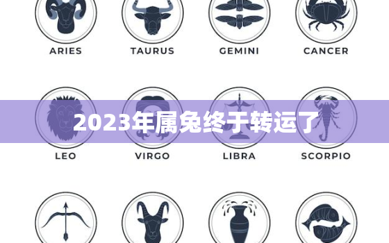 2023年属兔终于转运了，2023年的兔是百年难遇