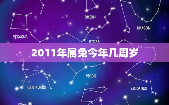 2011年属兔今年几周岁，2011年属兔的今年过几岁生日