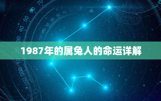 1987年的属兔人的命运详解，1987年的属兔人的命运详解一下