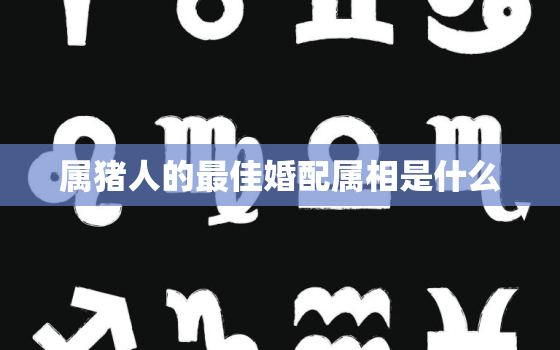 属猪人的最佳婚配属相是什么，属猪人最佳婚配对象