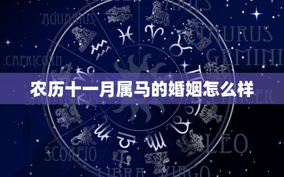 农历十一月属马的婚姻怎么样，属马的几点出生有福气