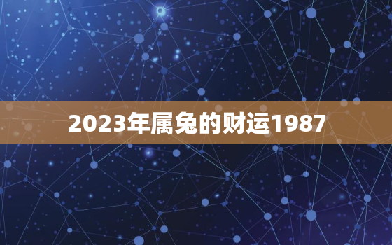 2023年属兔的财运1987，2023年属兔的财运和运气如何