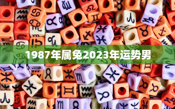 1987年属兔2023年运势男，87年属兔男2023年每月运势及运程