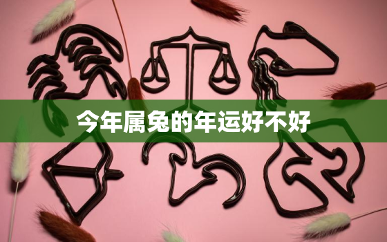 今年属兔的年运好不好，今年属兔的运势是不是很不好