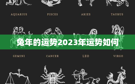 兔年的运势2023年运势如何，兔年运势2023年运势12生肖