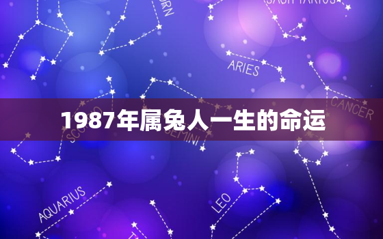 1987年属兔人一生的命运，1987年属兔人一生的命运详解