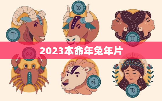 2023本命年兔年片，2023年本命年