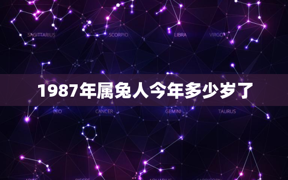 1987年属兔人今年多少岁了，1987年属兔的人今年多大了