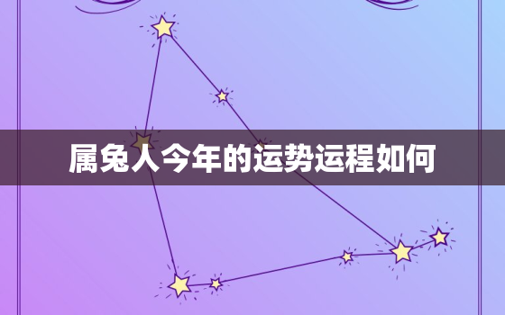 属兔人今年的运势运程如何，属兔人今年运势2021年运势