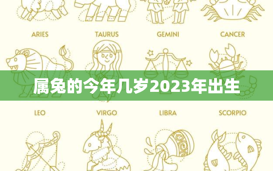 属兔的今年几岁2023年出生，属兔的今年多大2022