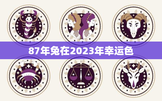 87年兔在2023年幸运色，87年的兔子2020年幸运色