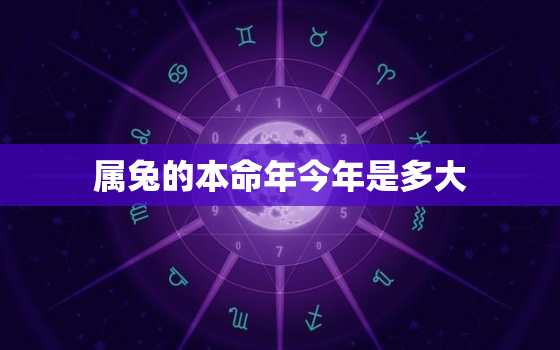 属兔的本命年今年是多大，属兔的本命年,有哪些需要注意的