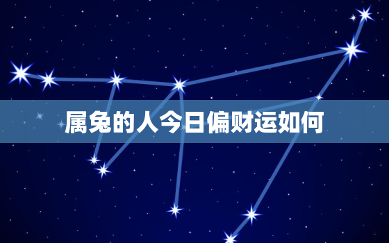 属兔的人今日偏财运如何，属兔的今日偏财运怎么样