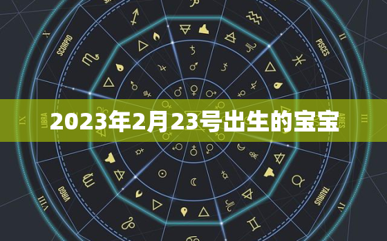 2023年2月23号出生的宝宝，2023年2月生宝宝什么时候开始怀孕