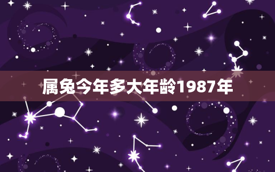 属兔今年多大年龄1987年，属兔今年多大年龄1987年出生