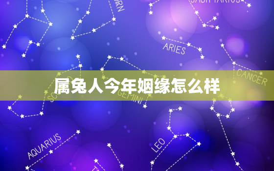 属兔人今年姻缘怎么样，属兔的人今年的婚姻状况如何