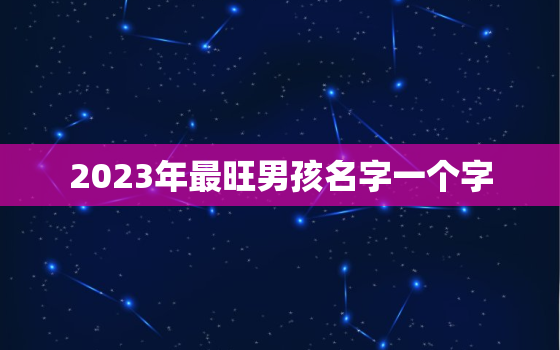 2023年最旺男孩名字一个字，2022年男孩的名字