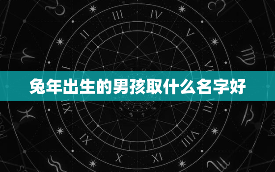 兔年出生的男孩取什么名字好，2023年兔宝宝取名字最佳字