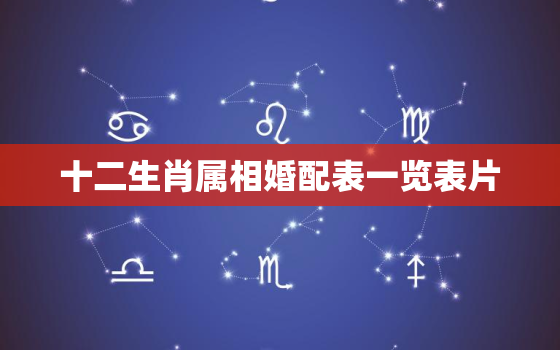 十二生肖属相婚配表一览表片，十二生肖属相婚姻配对大全,你肯定很想知道!