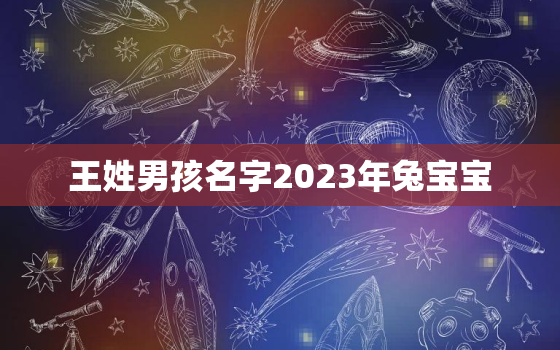 王姓男孩名字2023年兔宝宝，王姓男孩名字属兔