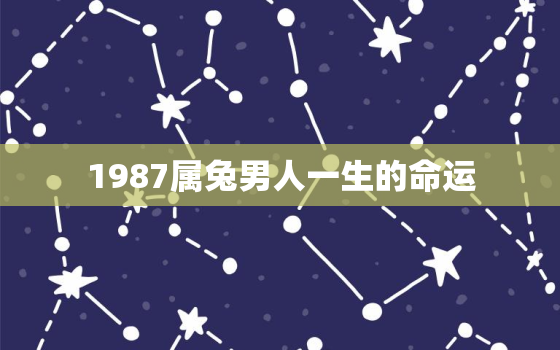 1987属兔男人一生的命运，1987年属兔男一生运势及运程