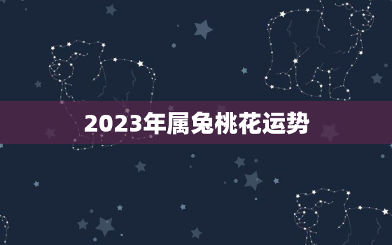 2023年属兔桃花运势，2023年属兔人运势