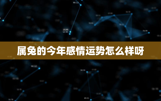 属兔的今年感情运势怎么样呀，属兔的人2022年感情怎么样