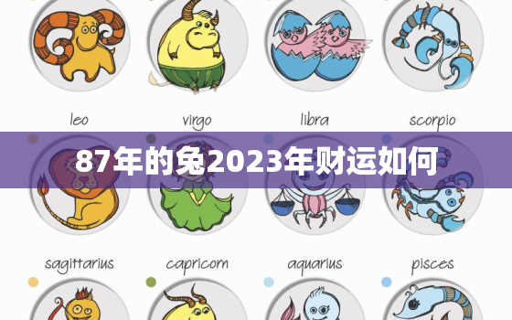 87年的兔2023年财运如何，87年属兔2023年运势及运程每月运程