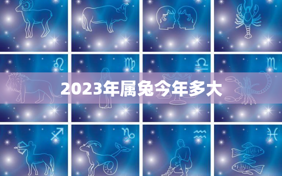 2023年属兔今年多大，2023属兔年龄查询表