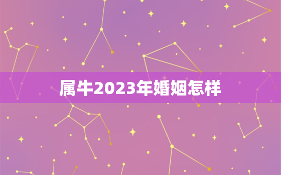 属牛2023年婚姻怎样，属牛的人2023