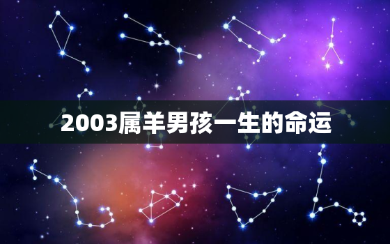 2003属羊男孩一生的命运，2003年属羊是什么命