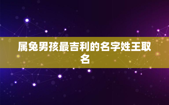 属兔男孩最吉利的名字姓王取名，属兔男孩最吉利的名字姓王取名大全