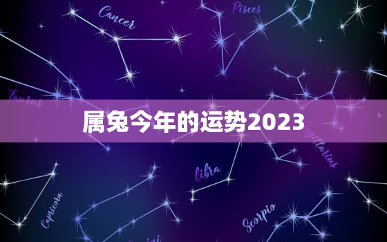 属兔今年的运势2023，属兔今年的运势2021