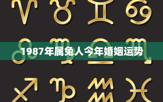 1987年属兔人今年婚姻运势，1987年属兔人今年婚姻运势????