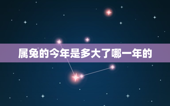 属兔的今年是多大了哪一年的，属兔的今年多大的今年多大