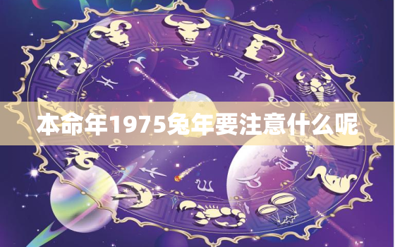 本命年1975兔年要注意什么呢，属兔1975在本命年会怎样