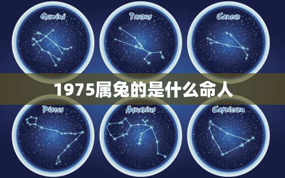 1975属兔的是什么命人，1975属兔的属于什么命