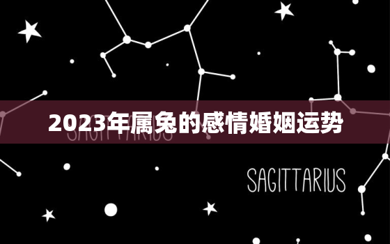 2023年属兔的感情婚姻运势，2023年属兔的运势和财运