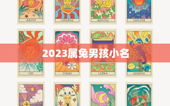 2023属兔男孩小名，2023年兔宝宝取名字