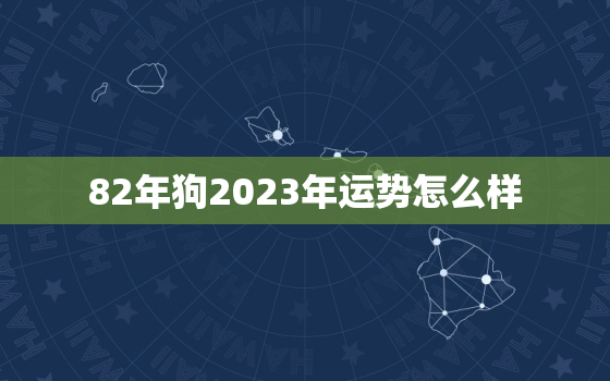 82年狗2023年运势怎么样，82年属狗2023年运程