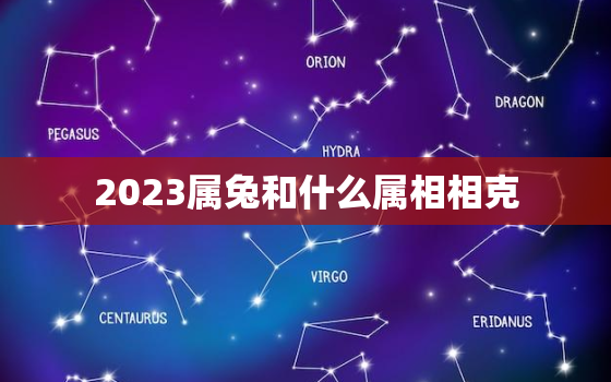 2023属兔和什么属相相克，2023属兔好不好