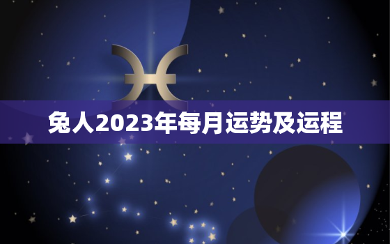 兔人2023年每月运势及运程，兔2023年的运势如何