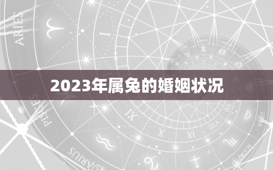 2023年属兔的婚姻状况，2023年属兔人适合结婚吗