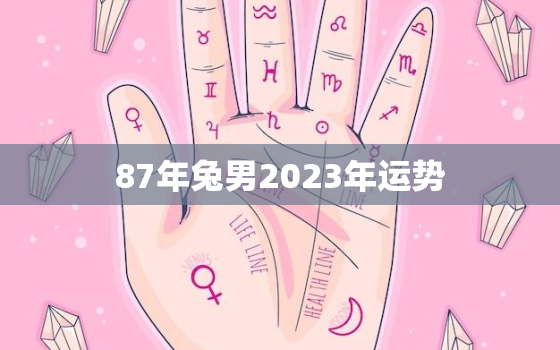 87年兔男2023年运势
，属兔1987年男性2023年